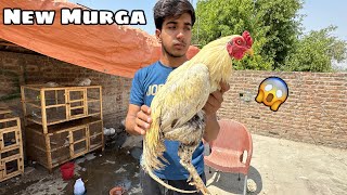 Hum New Murga La Aya  || Bhot Sara
