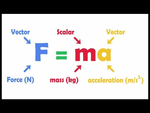 Newtons laws of Motion 01 ll Inertia Linear Momentum ll 11th class ll 1st 2nd 3rd Law ll NEET IITJEE