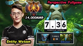 Watson 7.36 Nature Prophet 14K MMR Carry PERSPECTIVE FULLGAME Dota 2