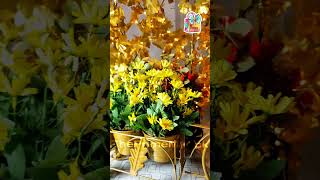 Pot Planter Cycle Stand- #ThePrimeMall #PotPlanter #CycleStand #GardenDecor