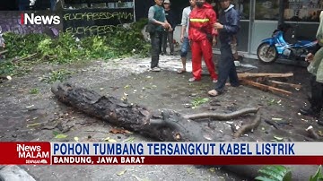 Hujan Deras dan Angin Kencang, Pohon Tumbang Timpa Mobil #iNewsMalam 11/12