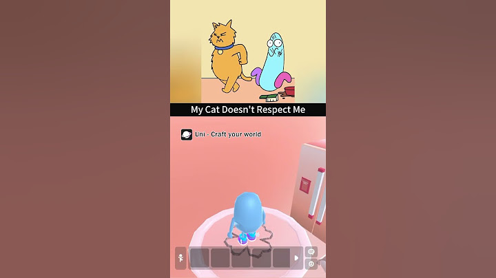 My Cat Doesn't Respect Me