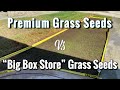 Premium vs Inexpensive Grass Seeds | Is it worth it?