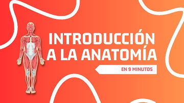🔥Introducción a la Anatomía en 9 MINUTOS - Historia de la Anatomía🔥🩺