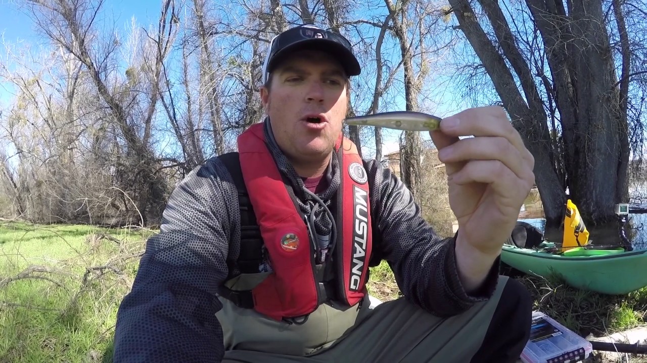 Two Jerkbaits you NEED to Try!