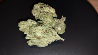 REVIEW in 4k #Four20Pharma  #420Natural20/1 CA GG4 #indica