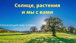 Солнце, растения и мы с вами