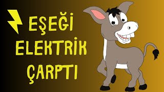 Elektrik Çarptı Eşek Öldü Kına Gecesi Komik Hatıralar 23 Ağustos 2008