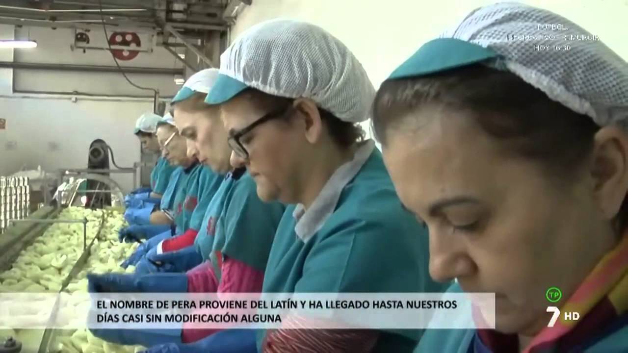 Produción de Pera en Almíbar - SOL De Archena  (Diario del Campo)