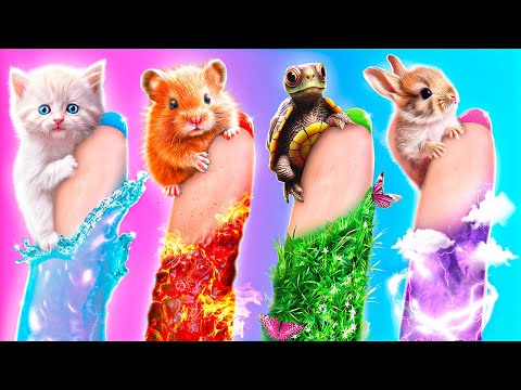 Cewek Api, Cewek Air, Cewek Udara, dan Cewek Bumi! Empat Elemen di Kampus