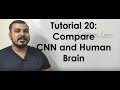Tutorial 20- Convolution Neural Network vs Human Brain