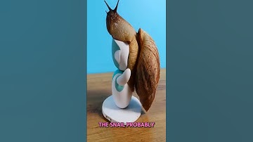 Roaches And a Snail Drove the Robot Into Hysterics