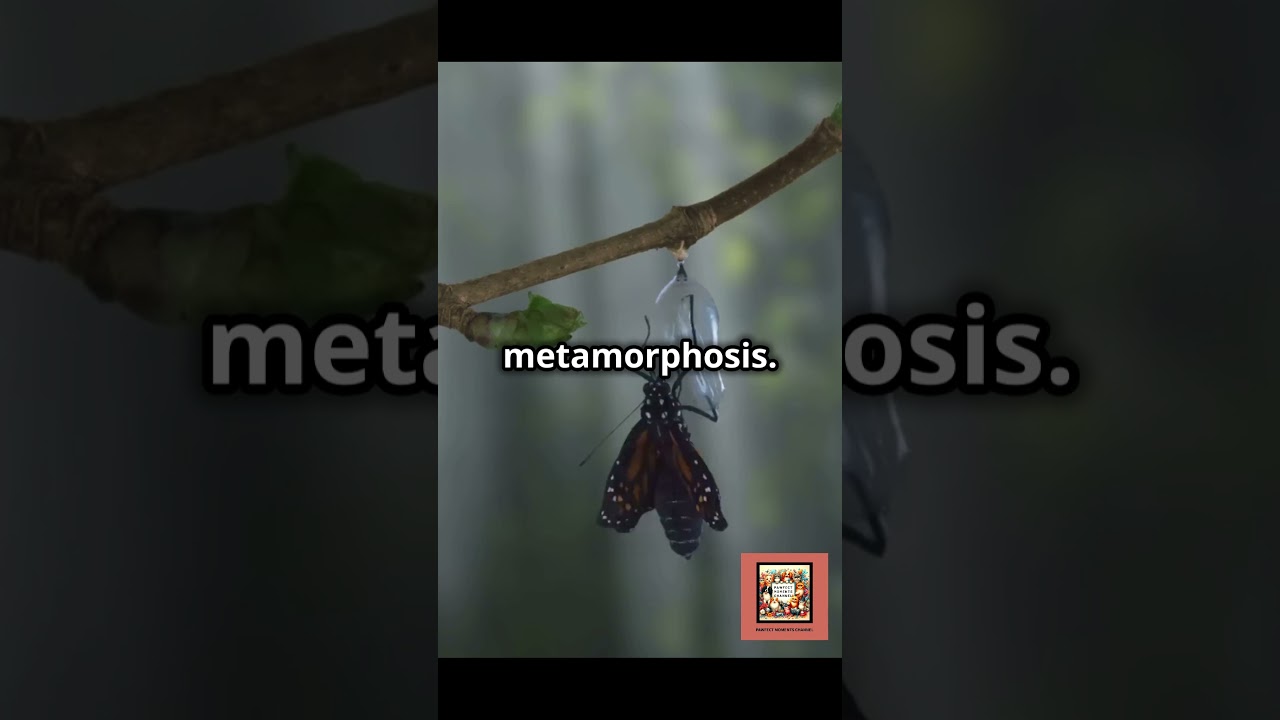 The Secret Life of a Caterpillar 🐛 