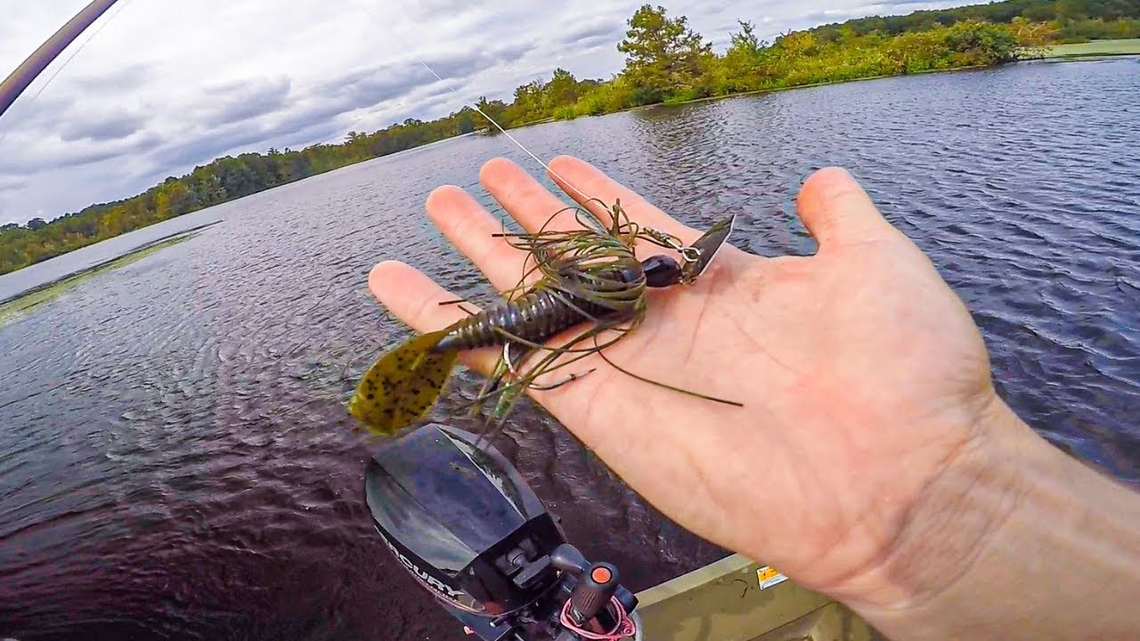 How One TINY Change Caught BIG FISH On New Lake! Late Summer Bass Fishing