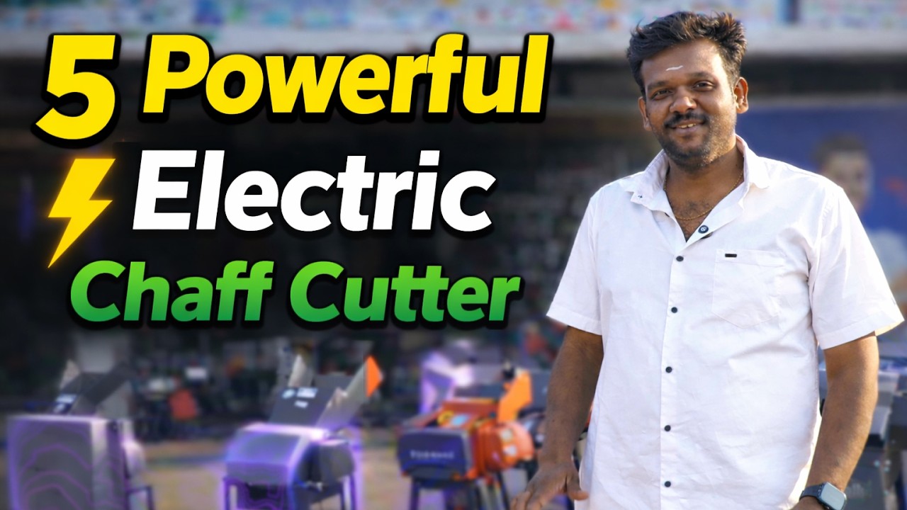 5 வகை Powerful Electric Chaff Cutter! ⚡ எது உங்களுக்கு சரி?