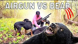 Hunting Black Bear With an Air Rifle? Will Andy survive?