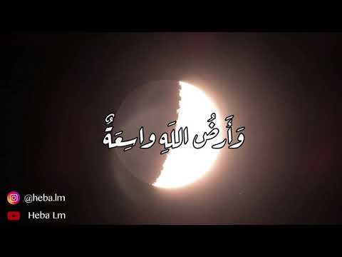 دع الأيام تفعل ما تشاء أروع قصيدة في الأدب العربي عن الحياة للإمام الشافعي