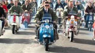 Syndicats - leave my kitten alone