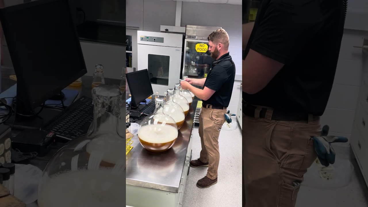 A Look at Some Fermenting Yeast Cultures in the Yeast Room at the MGP : Ross & Squibb Distillery
