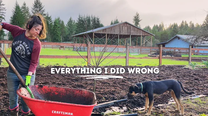 I Messed Up My No-Till Garden | Sheet Mulch Mistakes + Fixes