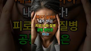 미토콘드리아의 중요성과 활성화방법 #미토콘드리아 #세포건강 #에너지충전 #세포활성화 #피로회복 #노화예방 #건강습관 #장수비밀 #운동효과 #건강꿀팁 #피곤한이유 #100세시대