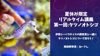 シーパライブ】タツノオトシゴオンライン講座① - YouTube
