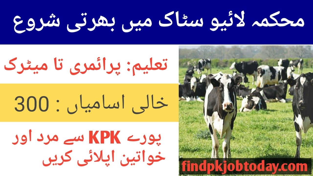 Livestock Jobs 2021 Livestock KPK Latest Jobs Livestock and Dairy