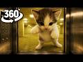 Horror Elevator to the Backrooms | ScubaCat | 360° VR