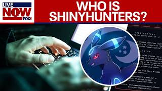 Who is 'ShinyHunters?' The group responsible for Canvas hack