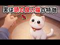 【賢すぎる】頭が良い猫が飼い主にこっそりやる行動７選【猫雑学】