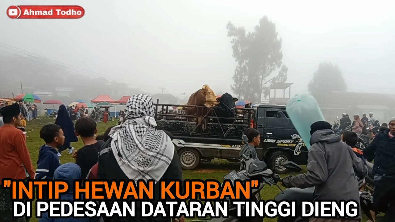 SUASANA⁉️ IDUL ADHA 1446 H DI DATARAN TINGGI DIENG 👉BATUR BANJARNEGARA.