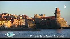 Le port de Collioure - Visites privées