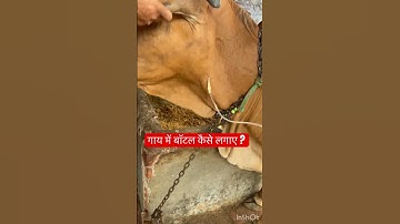 Intravenous injection l dr Umar Khan