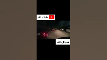 حيوان غريب يظهر في مدينة انماء عدن 