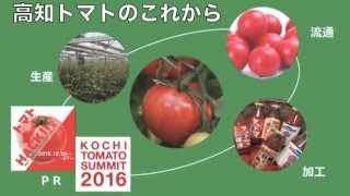 高知県　重点品目PR情報「トマト」