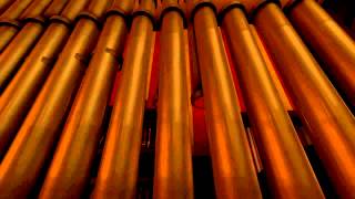 Fortes Appearance In Tf2