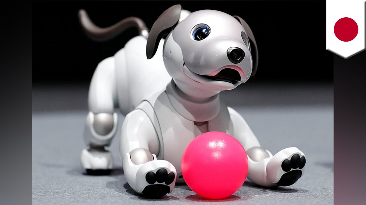 Robot dog Sony brings back Aibo robot pup that's smarter, cuter, and