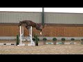 A-List Auction 2022 - Yearlings | Lot 21 | Defence of the Realm