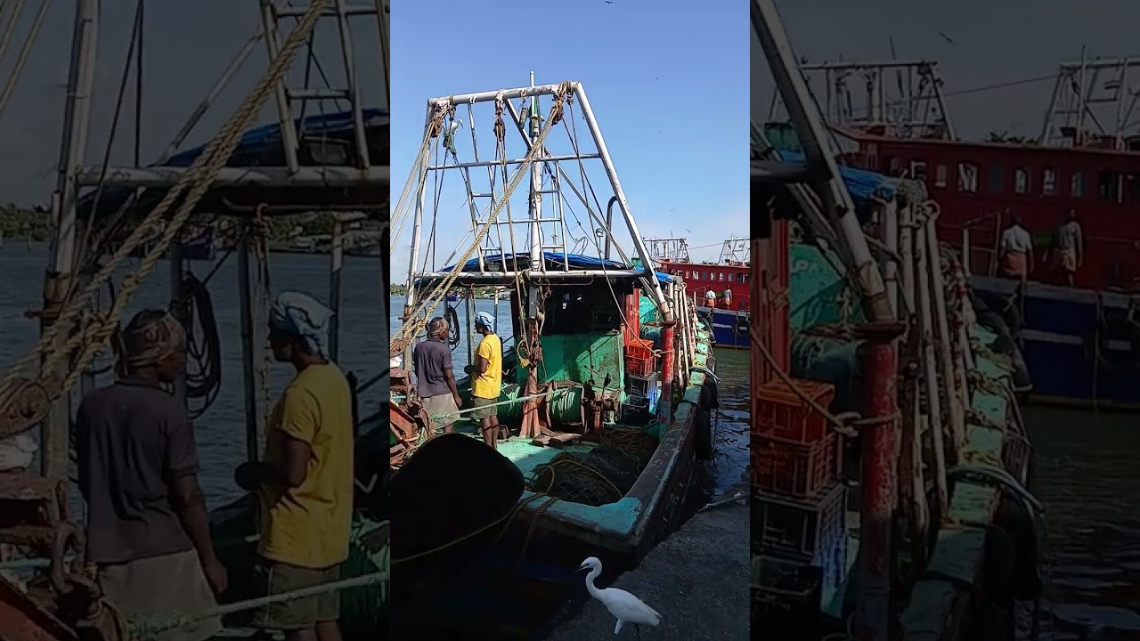 AZHEEKKAL FISHING HARBOUR -big FISHING BOATS  
