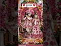 ❤️🌿 वृंदावन जाना तो जरूर है || राधा भक्ति || #ytshorts  #वायरल_शॉट_वीडियो #राधेराधे #भक्तिsong