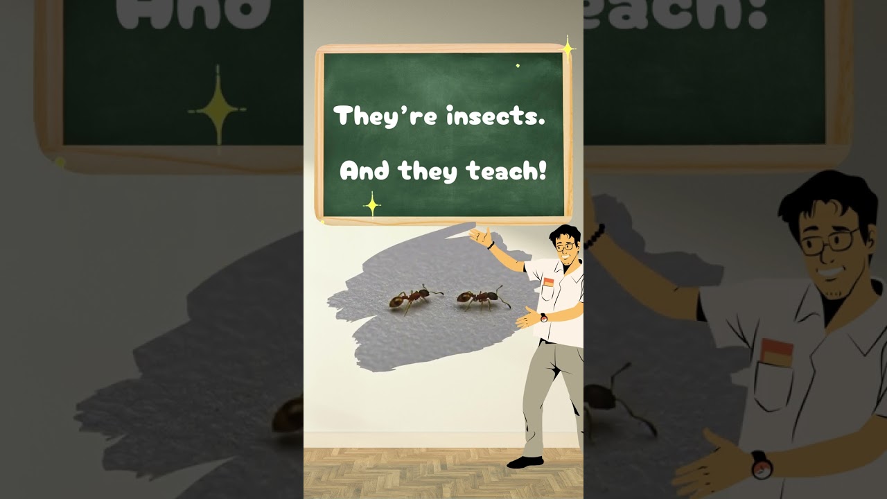 🐜 Ants don’t just follow, they teach!