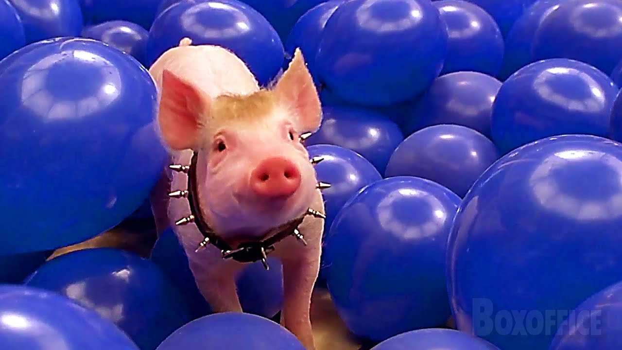 Babe: Pig In The City Full Ending 🌀 4K