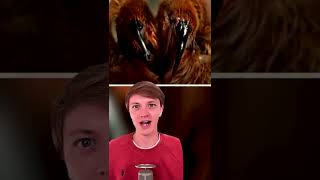 Most Dangerous Animals You Should Never Touch