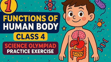 Functions of Human Body | Class 4 Science Olympiad Practice | 🎯