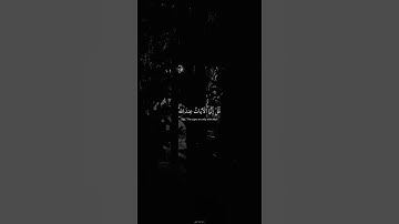 وقالوا  لولا  أُنزِل عليه آياتٌ من ربِّه قل إنما الآياتُ عند اللَّه بصوت القارئ عبد الرحمن مسعد
