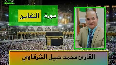 المصحف المرتل | سورة التغابن بصوت القارئ محمد نبيل الشرقاوي