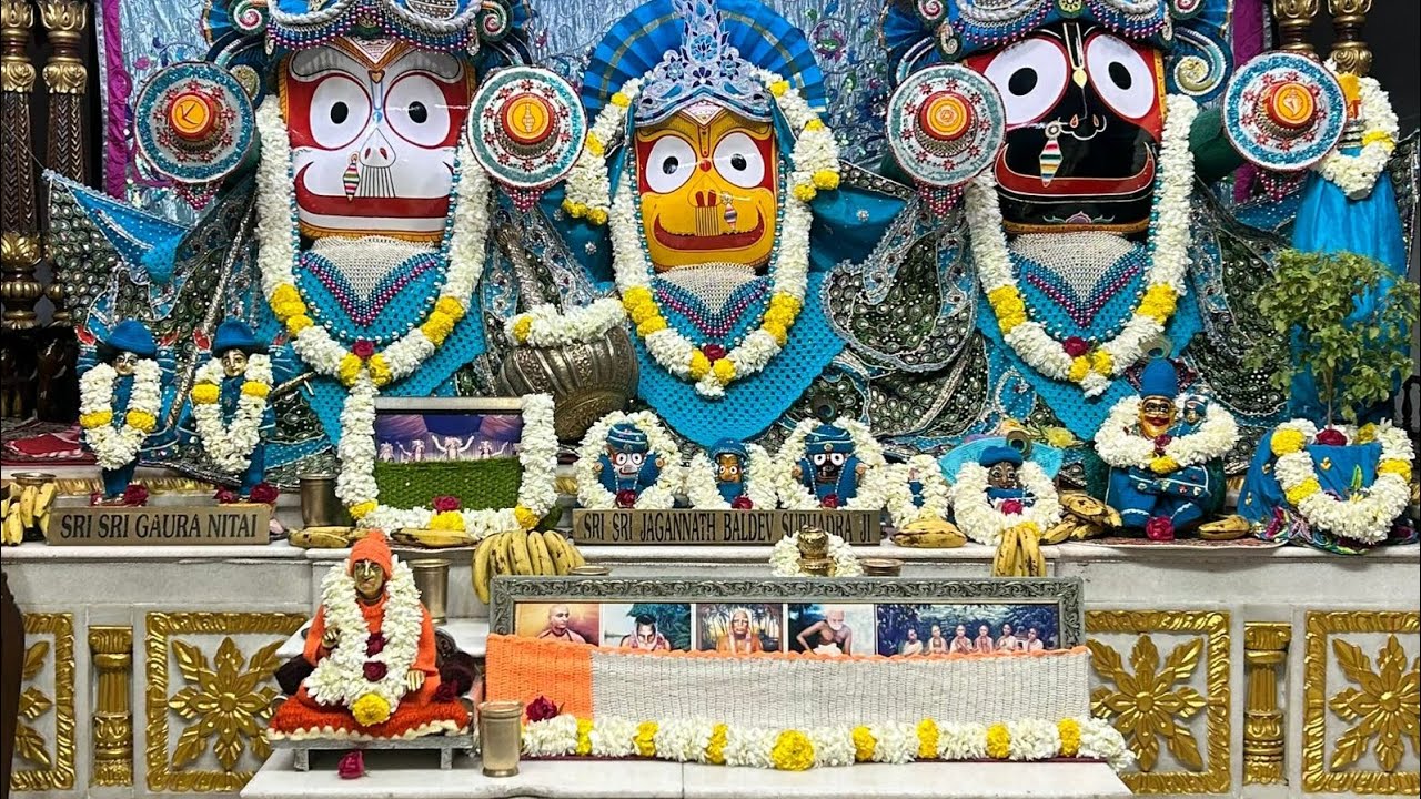 Gold park activity #viral #bollywoodsongs #bolleywoodsong 