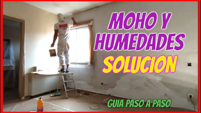 Reparación de pared falsa con moho