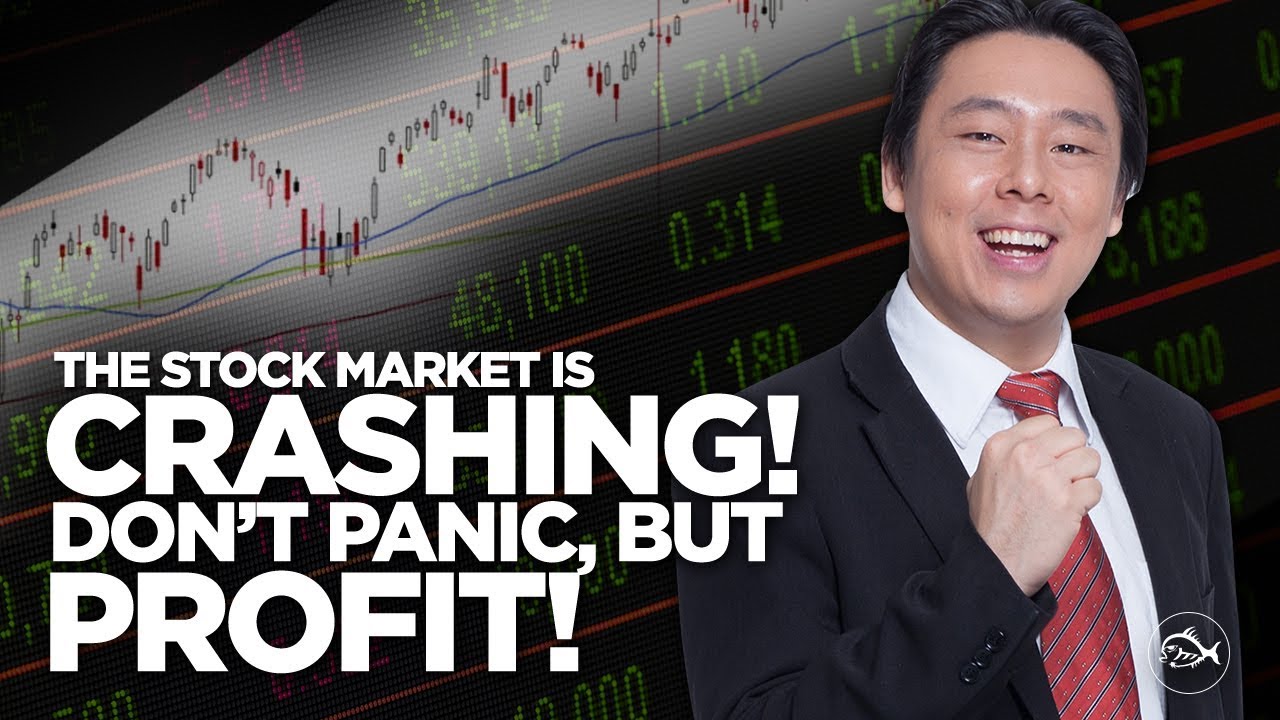 The Stock Market is Crashing! Don’t Panic, But Profit! By Adam Khoo The Stock Market is Crashing! Don’t Panic, But Profit! By Adam Khoo