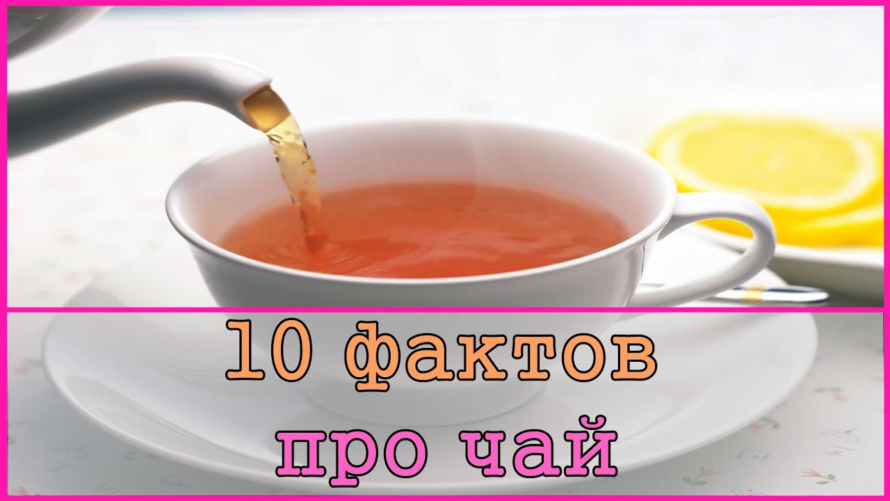 Гуф про чай. Интересные факты о чае. Чай видео. Рэп про чай. Чай и музыка.